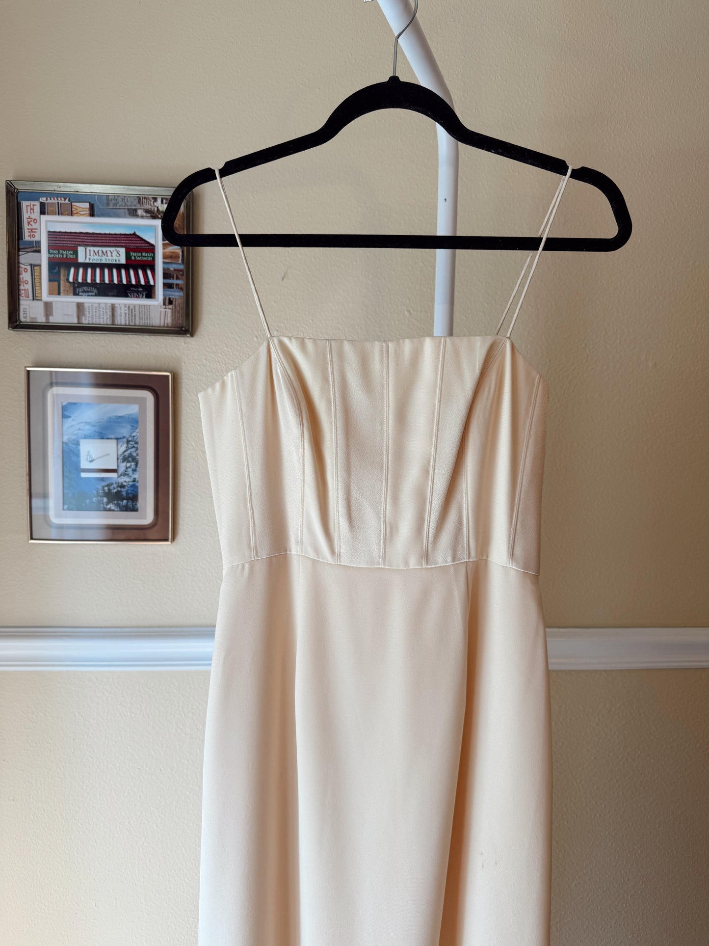 The Princess of Genovia Dress