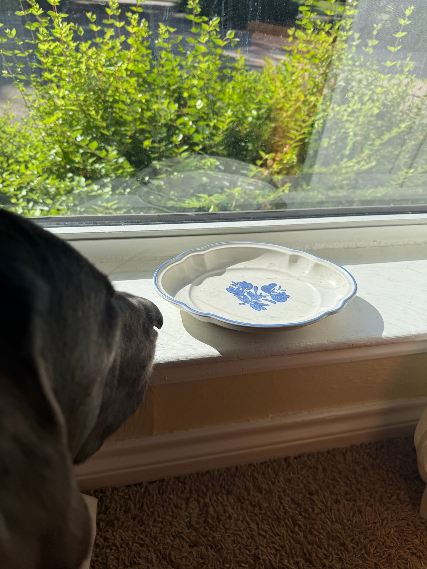 The Dainty Dish