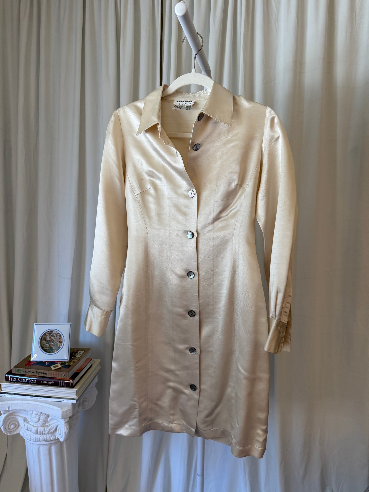 Silk Button Up Dress