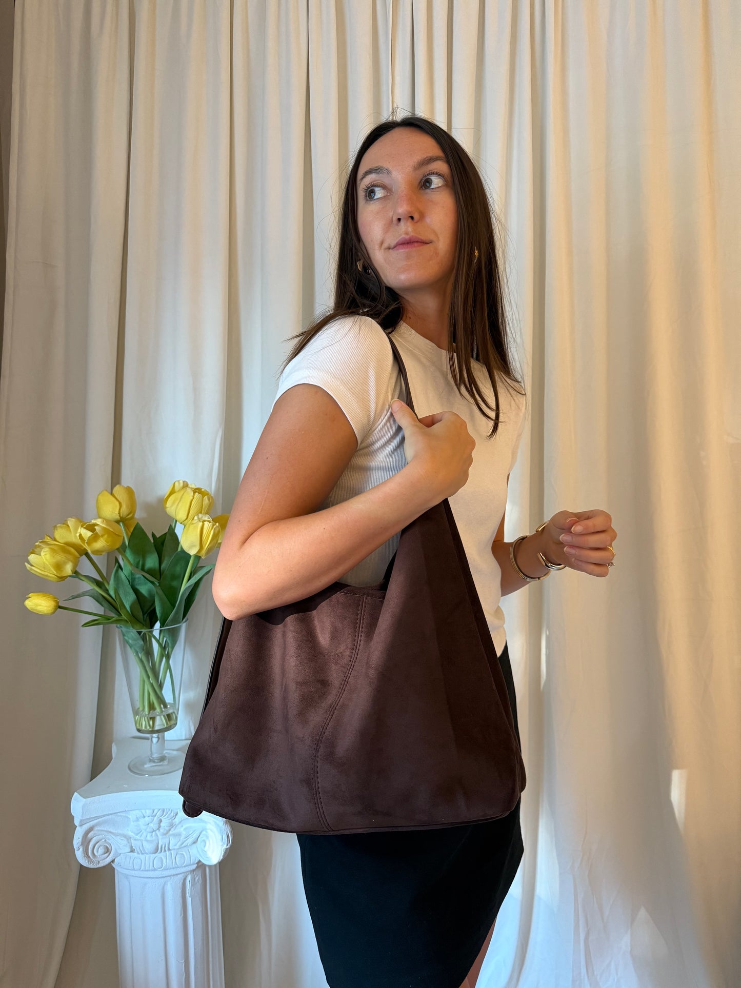 Big Brown Bag