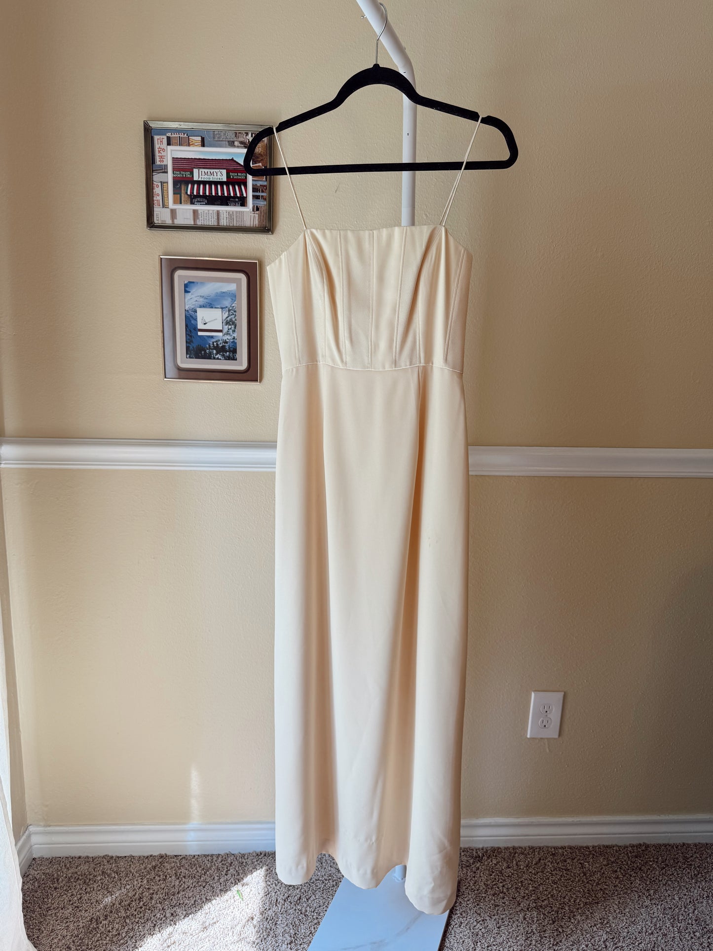 The Princess of Genovia Dress