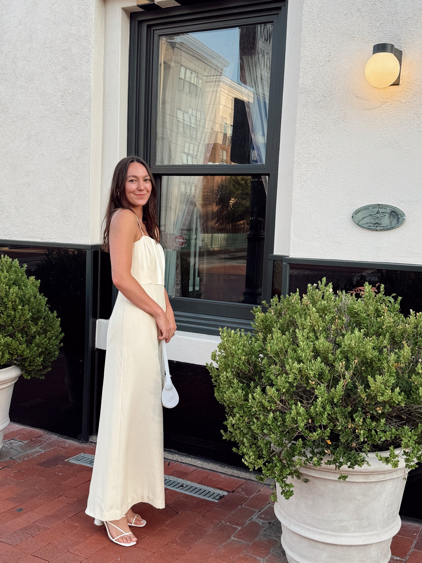 The Princess of Genovia Dress